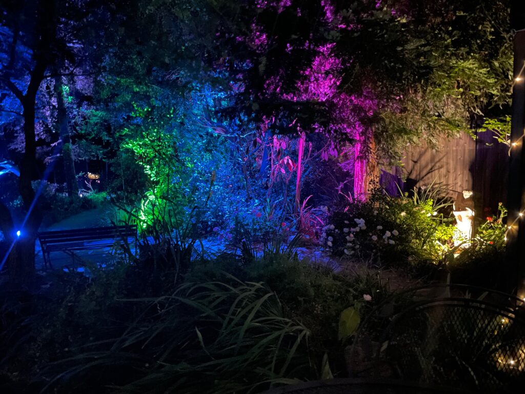 Backyard outdoor lighting